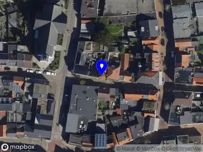 Master Rocha technique