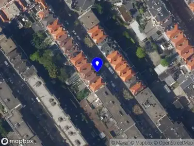 Lara Paulino Pereira