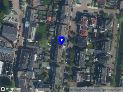 Mau gedragstherapie kat Halfweg
