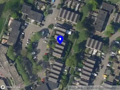 ENFLOR Coaching & Training