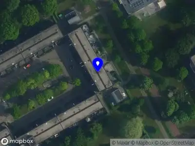 Bear Beveiliging Amsterdam