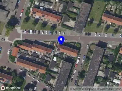 Swinie Dordrecht