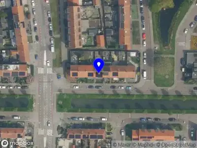 Apex Gouda