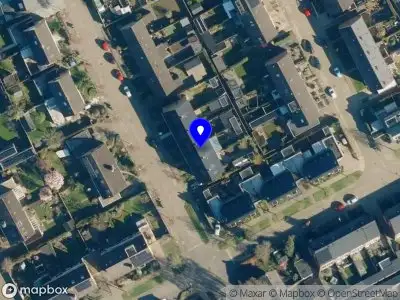 Rienke Draaijer - Tekst & Taal