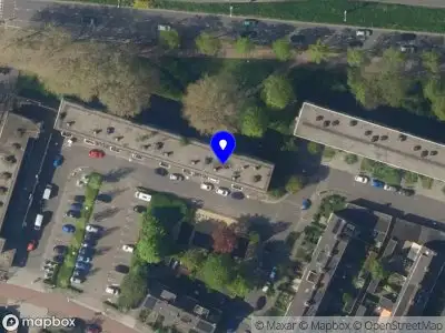 Domstad flowers and more