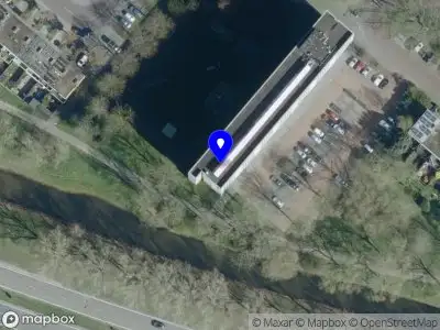 Patricia Verstappen Aesthetic