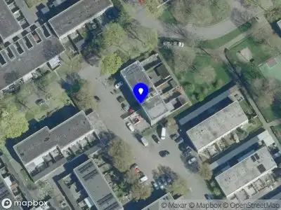 Fightflight or cuddle 's-Hertogenbosch
