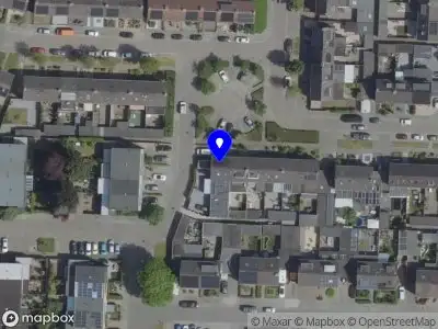 Tijger ijs Helmond