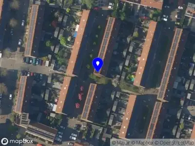 De Magische Boom B.V. Alphen aan den Rijn