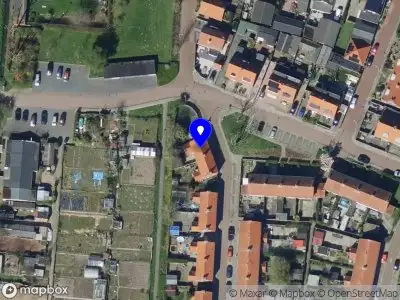 Balanced dogs in harmony