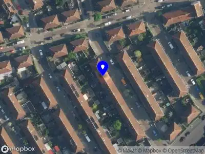 Naar de haaien projects