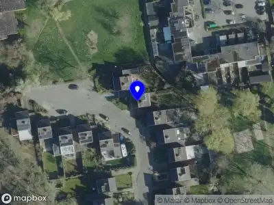 Demen Bulbul media Nijmegen