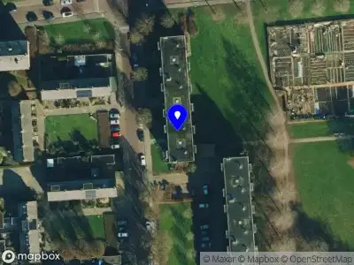 Gekkenhuis producties