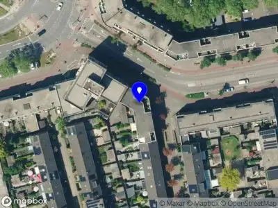 Dandelion schoonmaak Apeldoorn