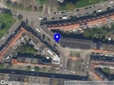 Inked beauty by star