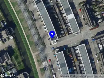 Scorpion Inked Tattoo