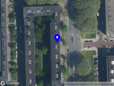 Bolo advies Amsterdam