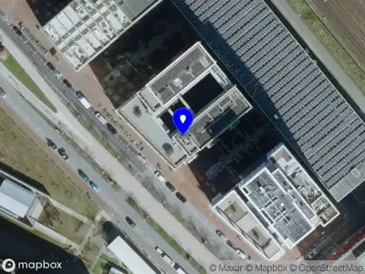 Larus Argentatus Eindhoven