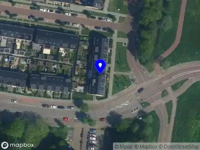 Vlugge Muggen Haarlem