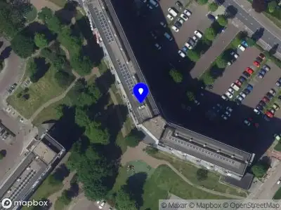 White Butterfly Zorg