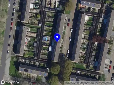 Nieuw bedrijf Jessy´s hondenuitlaatservice