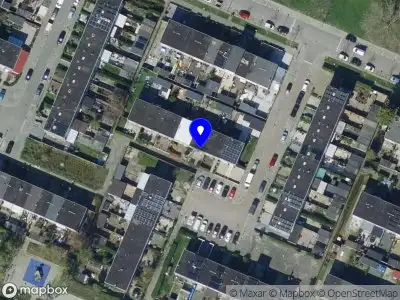 camelias production Hoogvliet Rotterdam