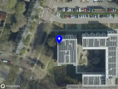 Fruit for intelligence