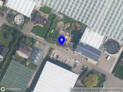 Anjerkwekerij Nieuwland Holding B.V. Hoek van Holland