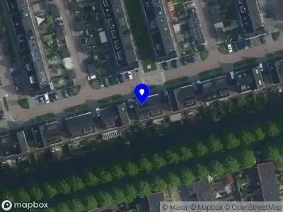 Ranonkel vrouwencoaching