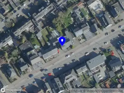 Nieuw bedrijf Patsdoggies