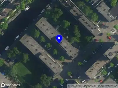 Advocacy Insights and Solutions