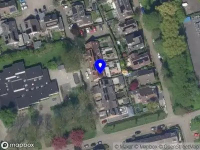 Perfectionist Painter