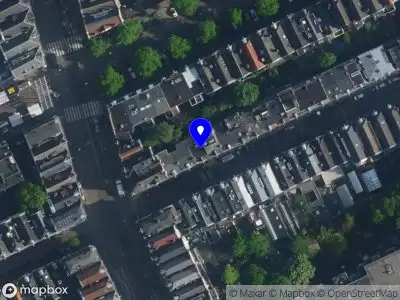 Karlijn Havekes Amsterdam