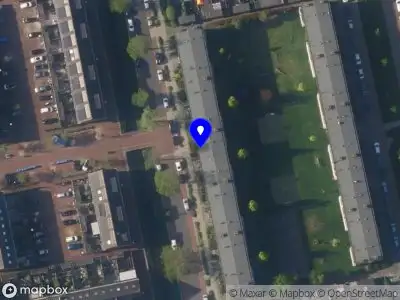 The Dutch Wolff Company