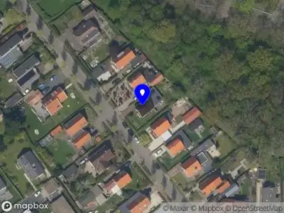 Nieuw bedrijf Flows by Natascha