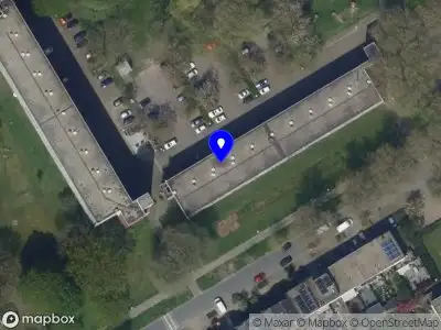 Nieuw bedrijf Ammar New York