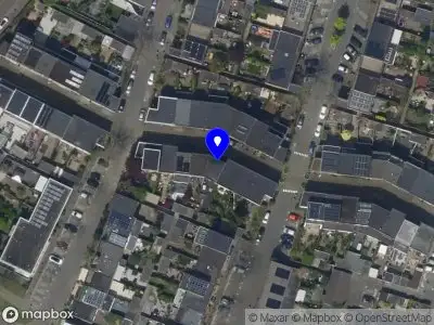 Het vriendelijke vosje