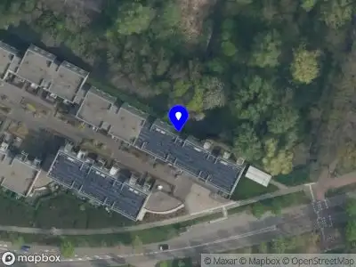 Naomi van Rooijen adviseur