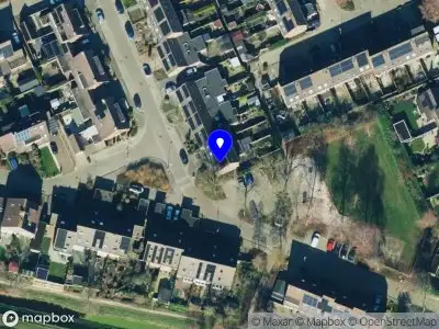 Tazayed Hoogeveen