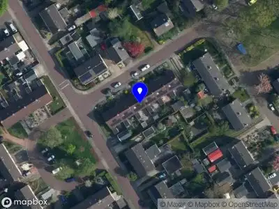 Thoughtvoel Nieuwehorne