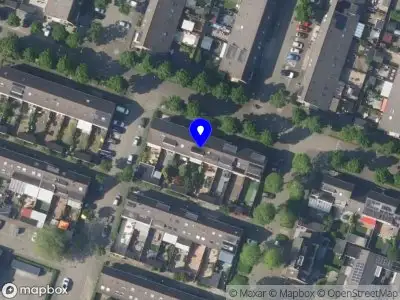 Meraki Tree Almere