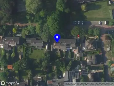 High Tree | Management