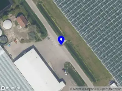 Kwekerij Greenart B.V. Tinte