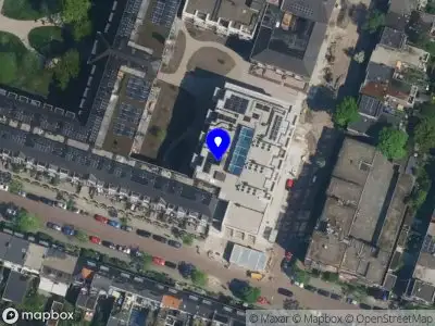 Root Agency Haarlem