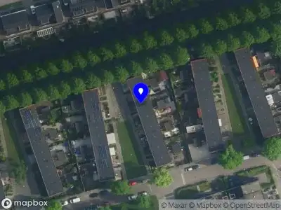 Theresa Nguyen Weesp