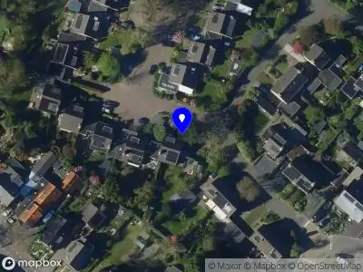 Patrick van Mil - cultuur en bestuur