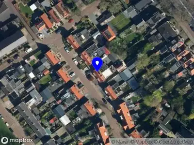 de Boer Boomverzorging