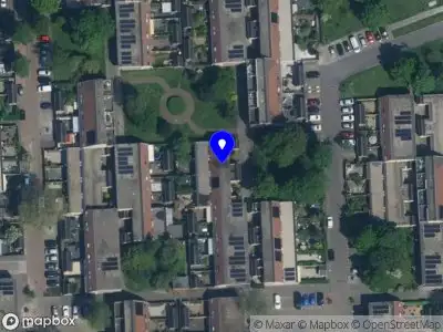 Goudsekwast Haarlem