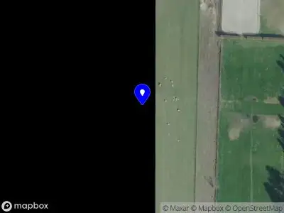 Focus Business Support