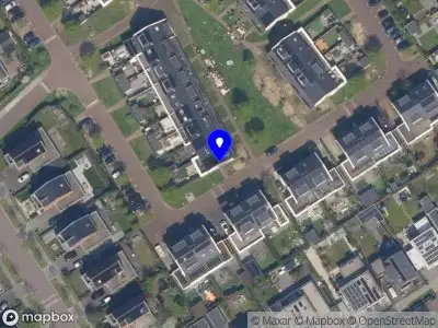 Nieuw bedrijf Oil up your life